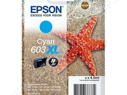 C13T03A24010 Cartuccia Epson